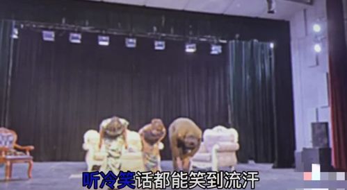 從經紀到演員 張丹峰前經紀人跨界話劇舞臺，旗袍造型驚艷四座